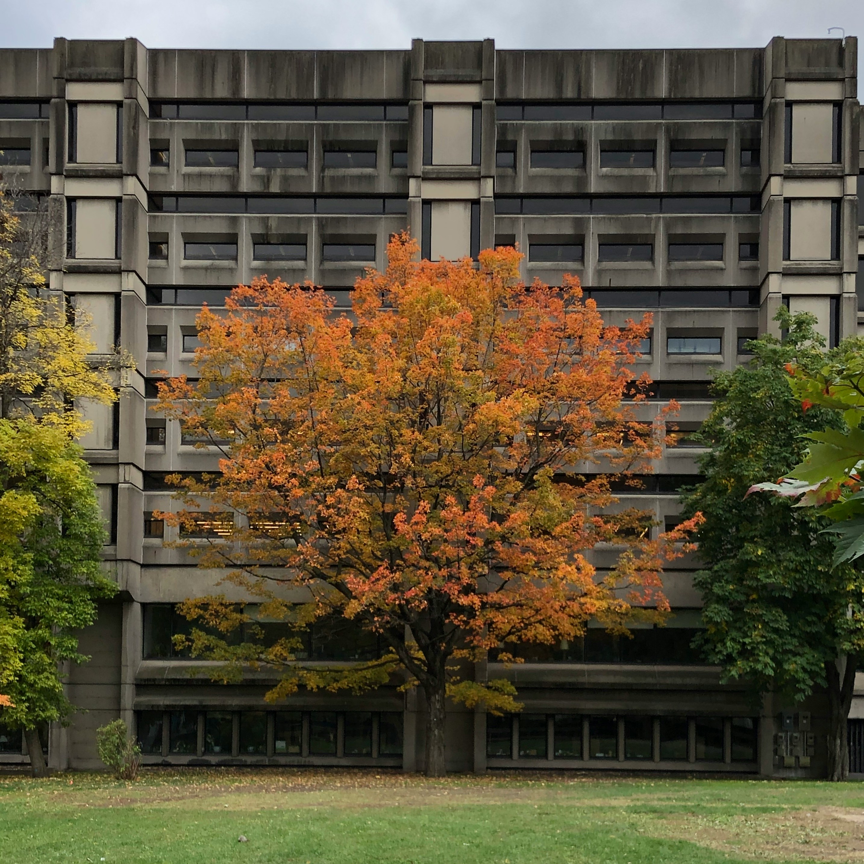 mcgill campus